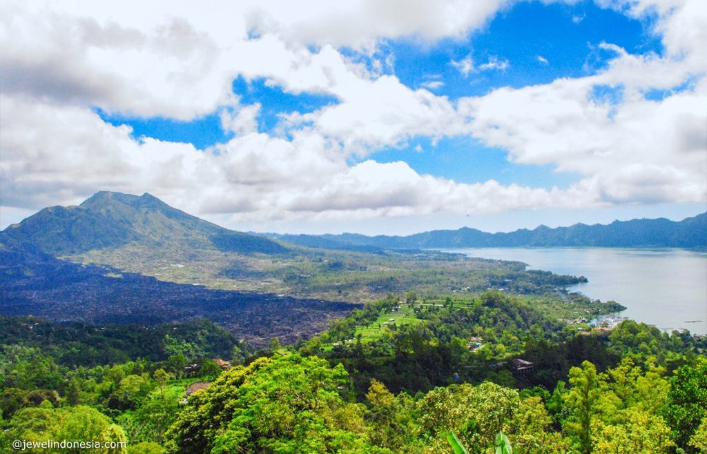 KINTAMANI ART & VOLCANO TOUR (8 hours).